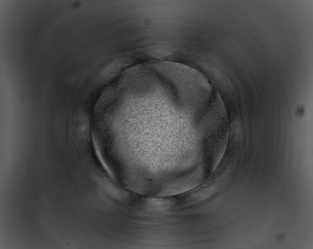 X0000101180234200807181455