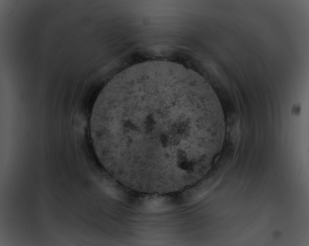 X0000101180235200807181455