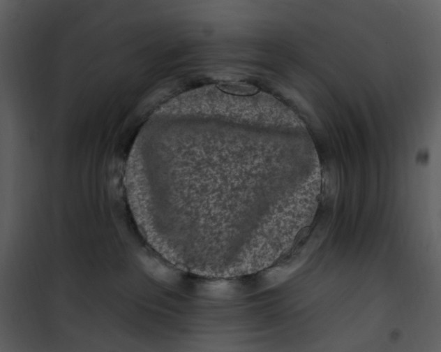 X0000101180237200807181455