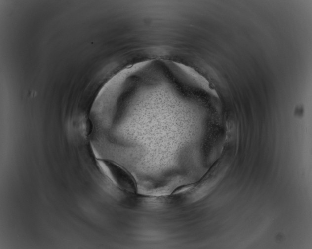 X0000101180238200807181455