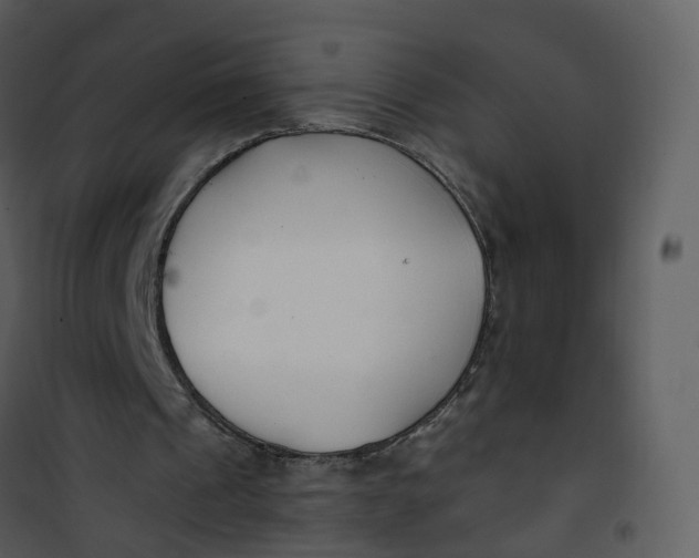 X0000101180241200807181454