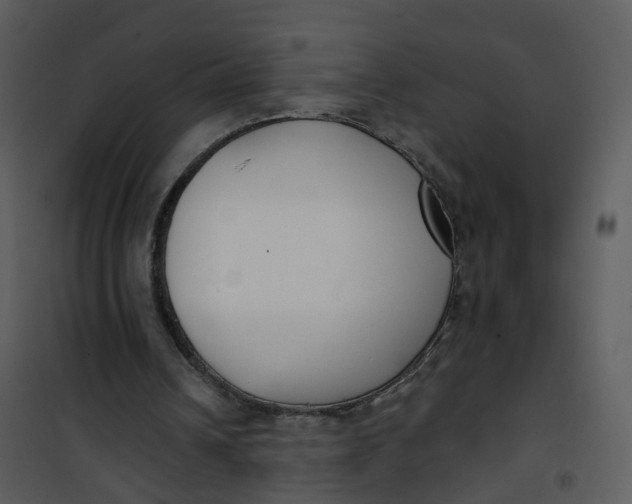 X0000101180242200807181454