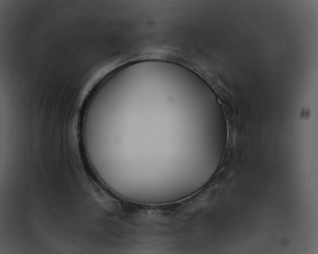 X0000101180244200807181454