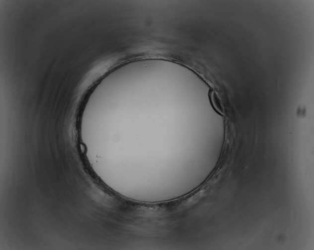 X0000101180245200807181454