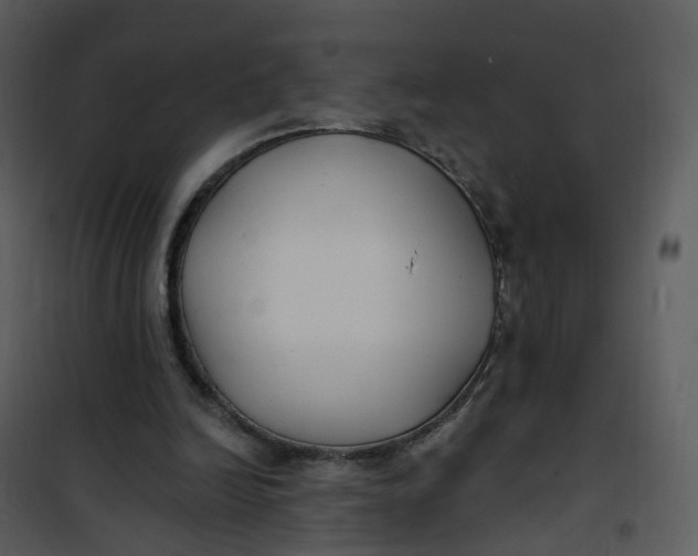 X0000101180246200807181454