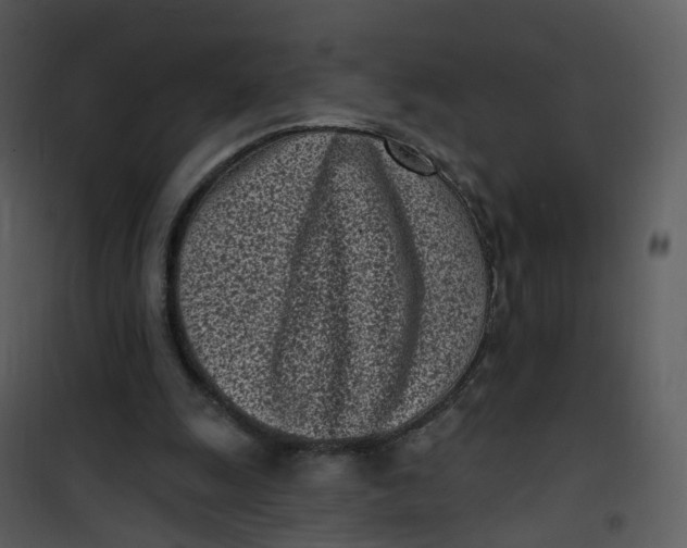 X0000101180247200807181454