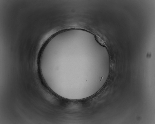 X0000101180248200807181454