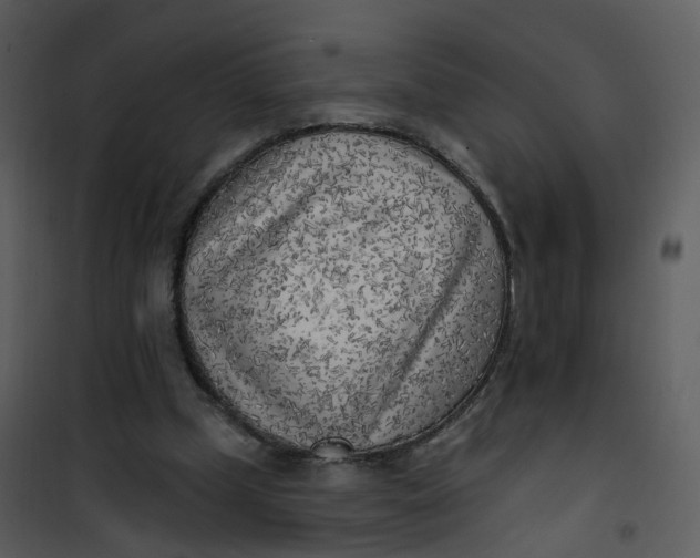 X0000101180249200807181454