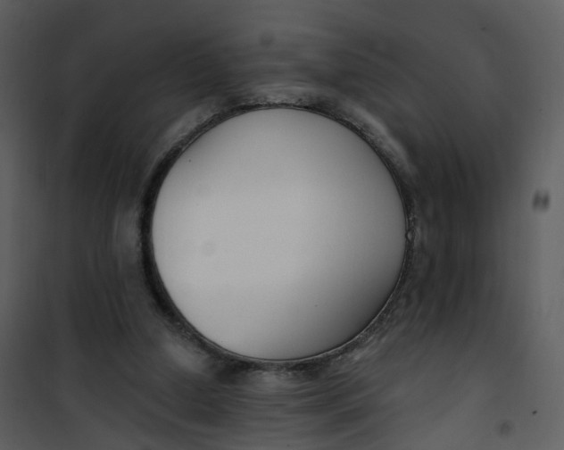 X0000101180250200807181454