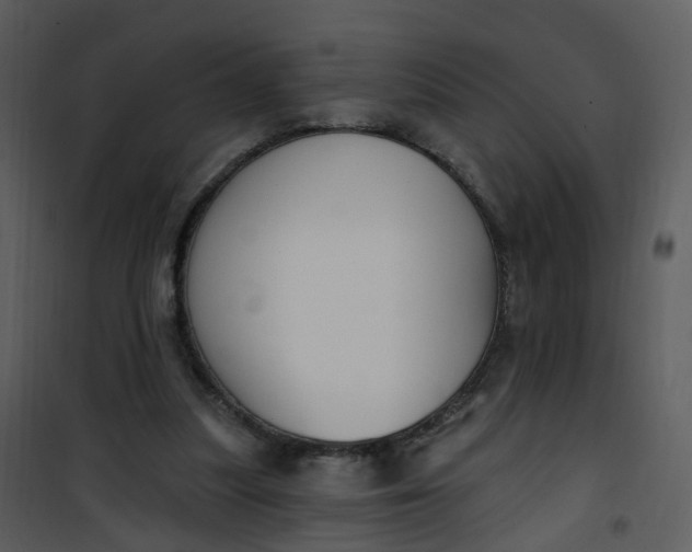 X0000101180251200807181454