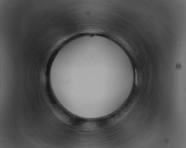 X0000101180252200807181454