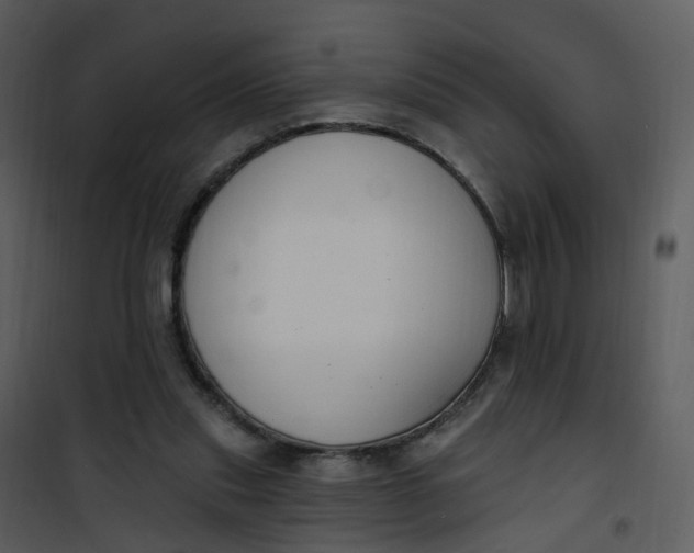 X0000101180253200807181454