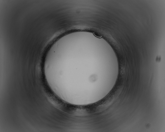 X0000101180256200807181454