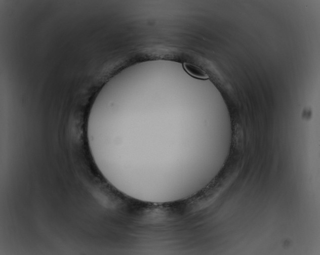 X0000101180259200807181454