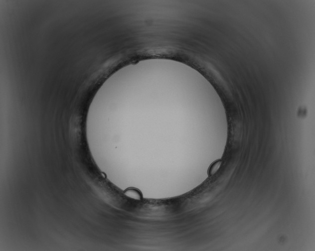 X0000101180260200807181454