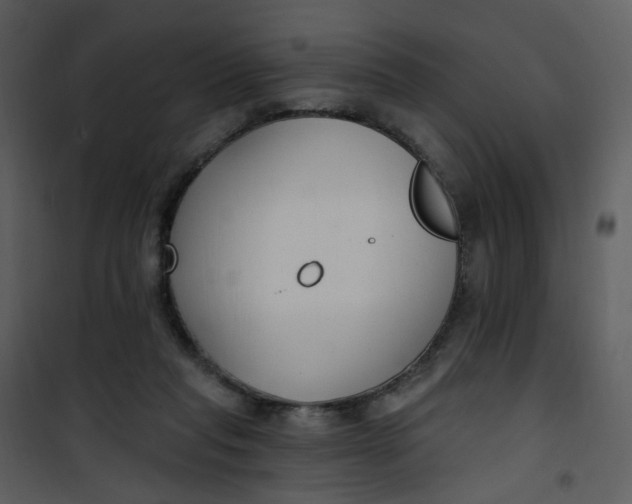 X0000101180261200807181454