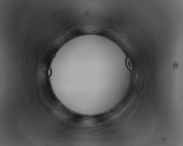 X0000101180263200807181454