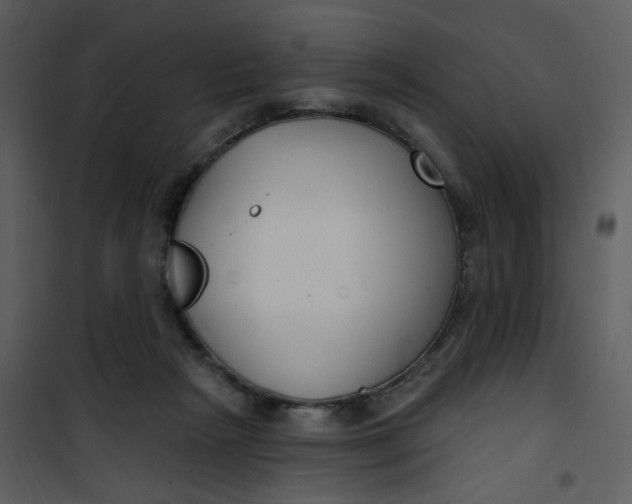 X0000101180265200807181454