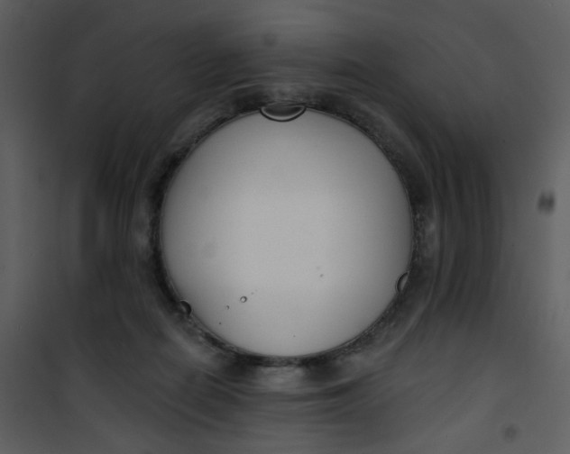 X0000101180266200807181455