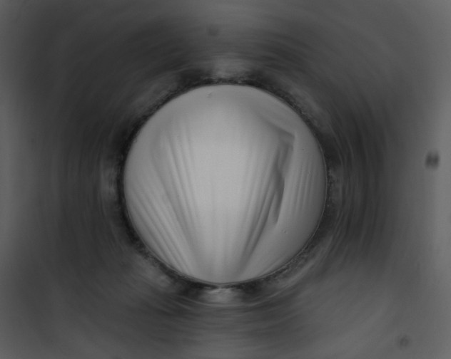 X0000101180269200807181455