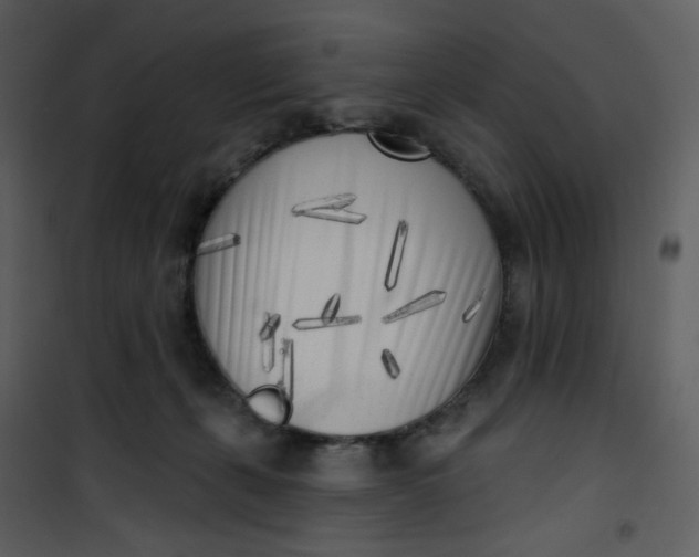 X0000101180271200807181455