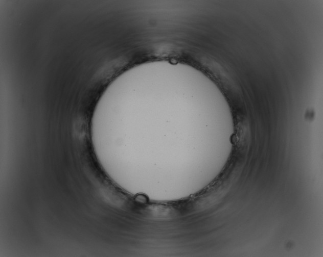 X0000101180272200807181455