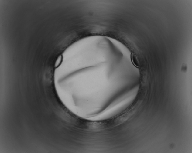 X0000101180273200807181455