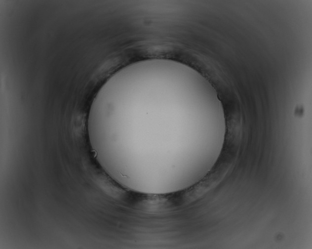 X0000101180278200807181455