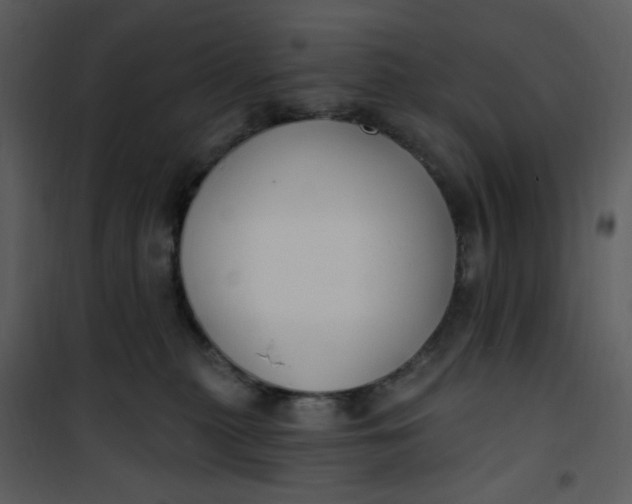 X0000101180279200807181455