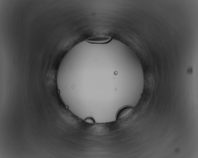 X0000101180280200807181455