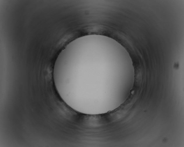 X0000101180282200807181455