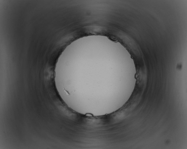 X0000101180284200807181455