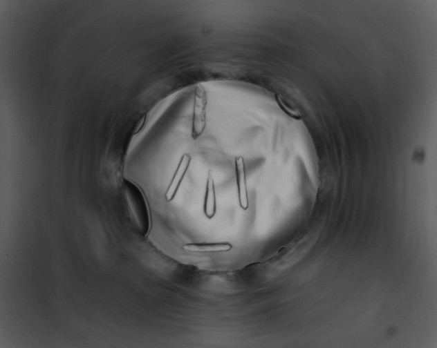 X0000101180285200807181455