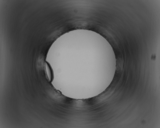 X0000101180287200807181455