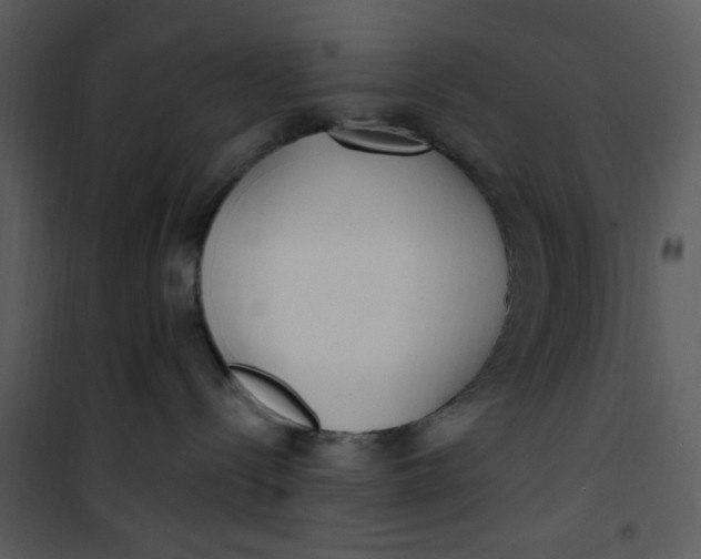 X0000101180288200807181455