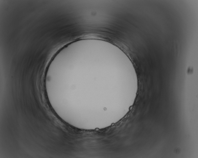 X0000101180289200807181454