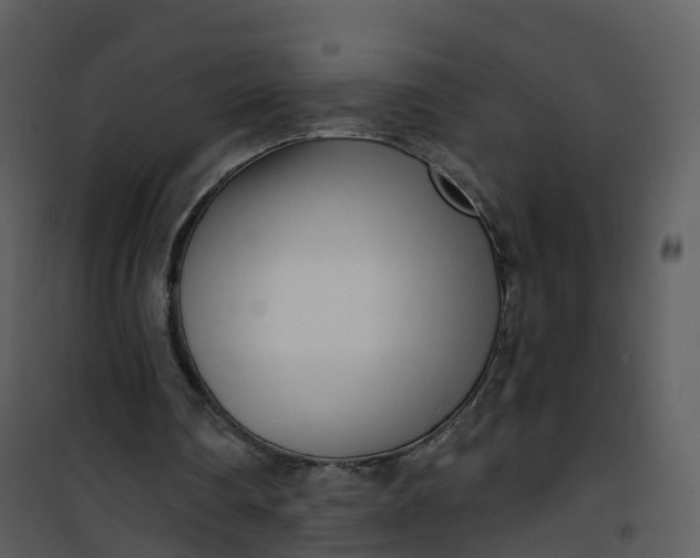 X0000101180290200807181454