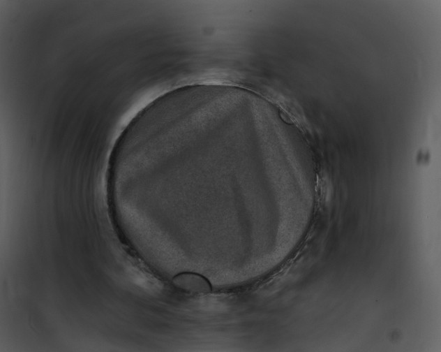 X0000101180292200807181454