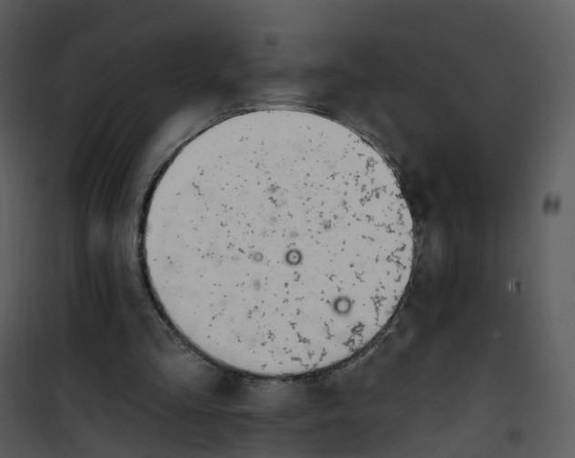 X0000101180293200807181454