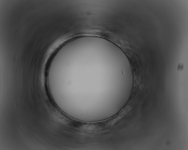 X0000101180294200807181454