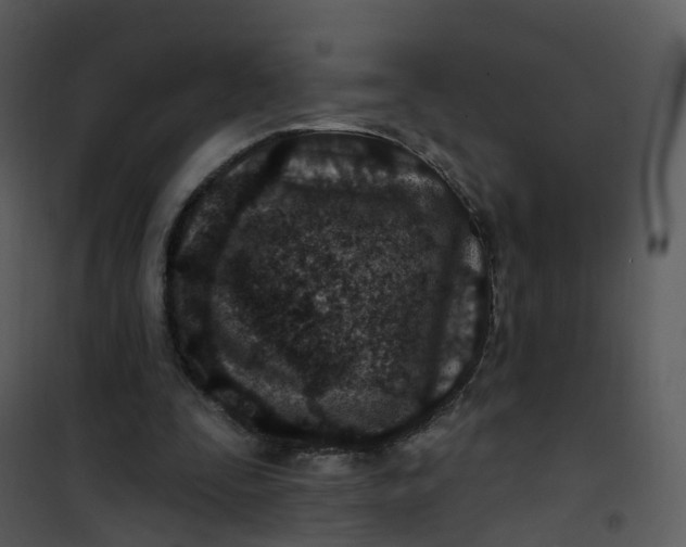 X0000101180295200807181454