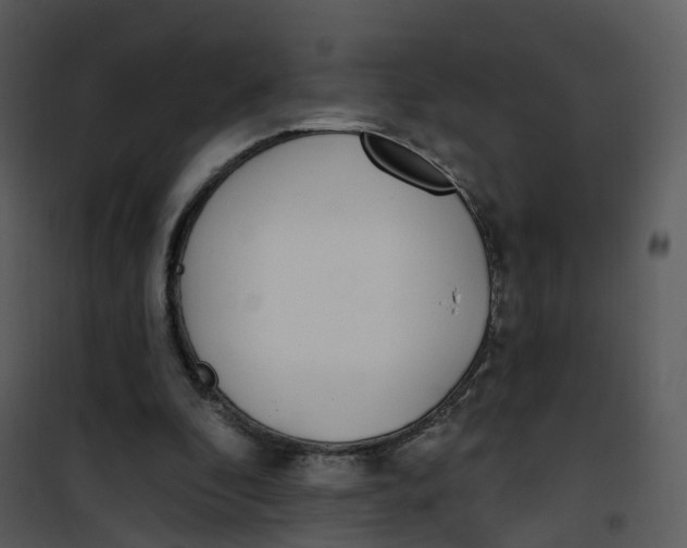 X0000101180296200807181454