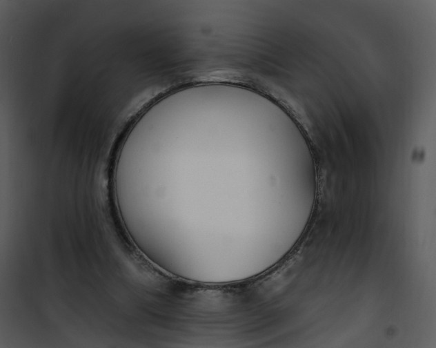 X0000101180298200807181454