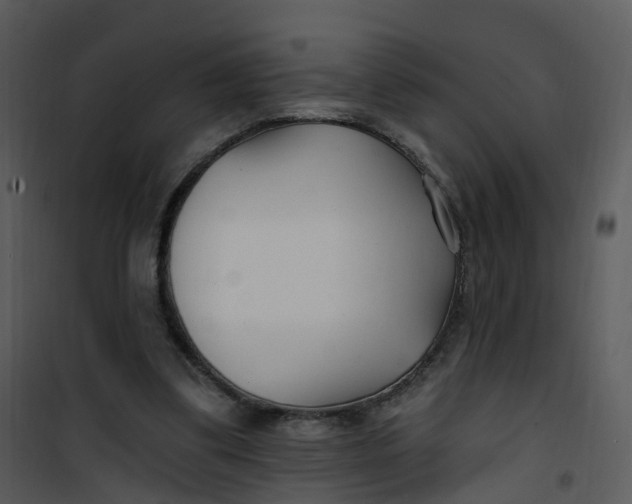 X0000101180299200807181454