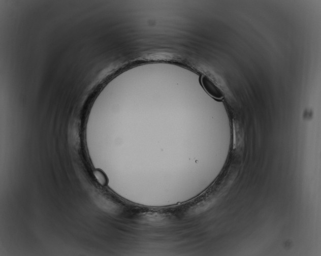 X0000101180300200807181454