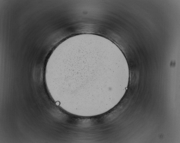 X0000101180301200807181454