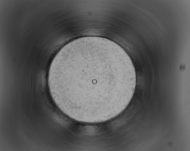 X0000101180302200807181454