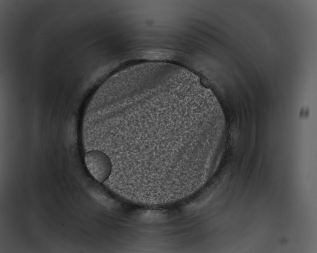 X0000101180303200807181454