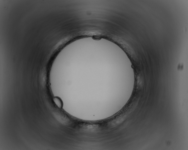 X0000101180304200807181454