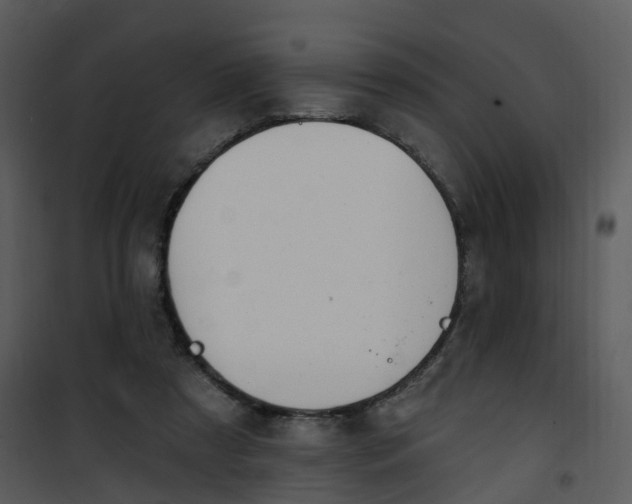 X0000101180305200807181454